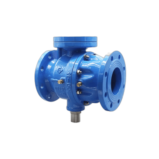 Backflow Preventer