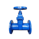 Gate Valve