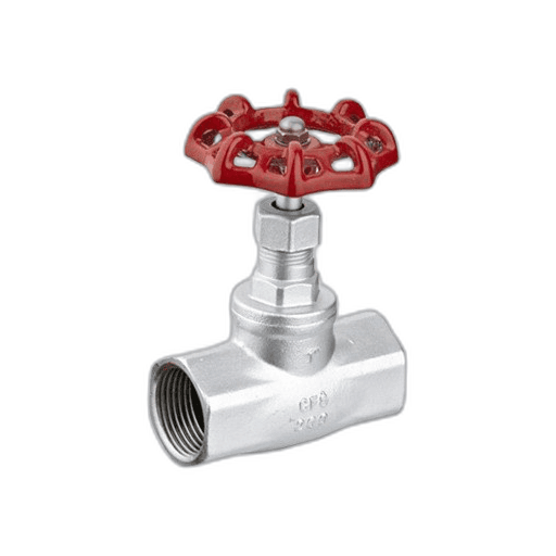 Globe Valve
