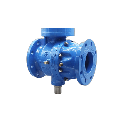 Backflow Preventer