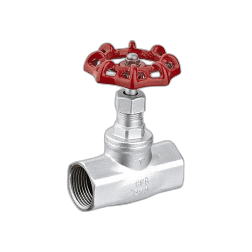 Globe Valve