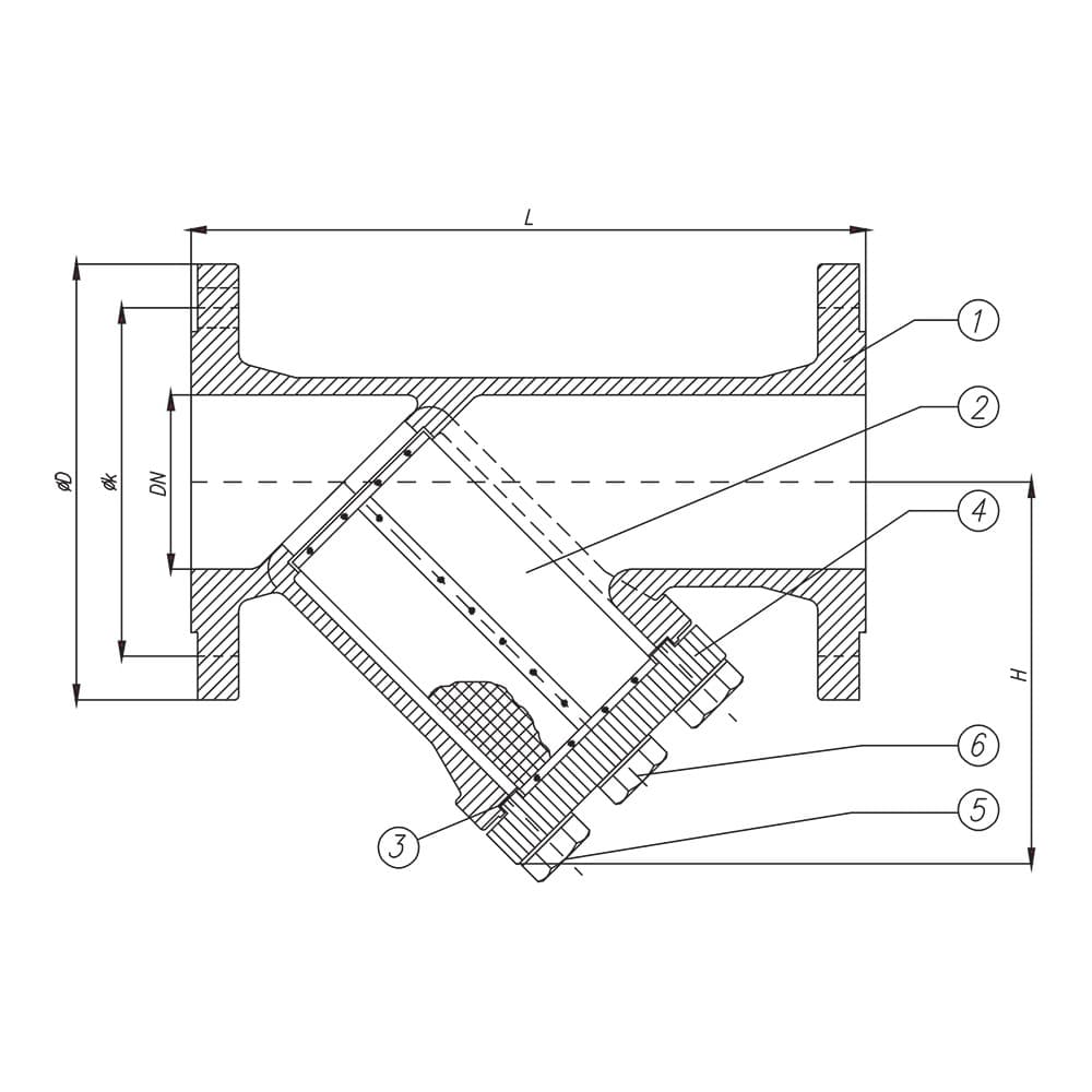 Y Type Strainer (2)