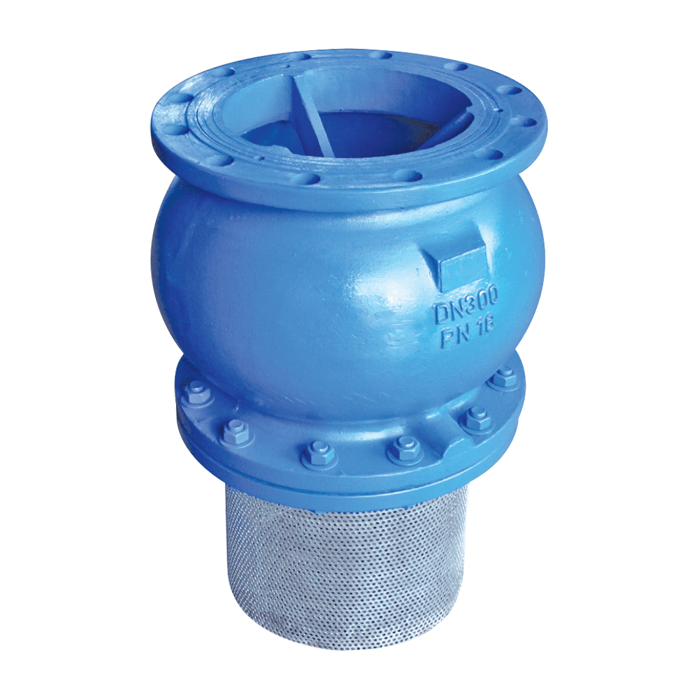 Foot Valves With Spring