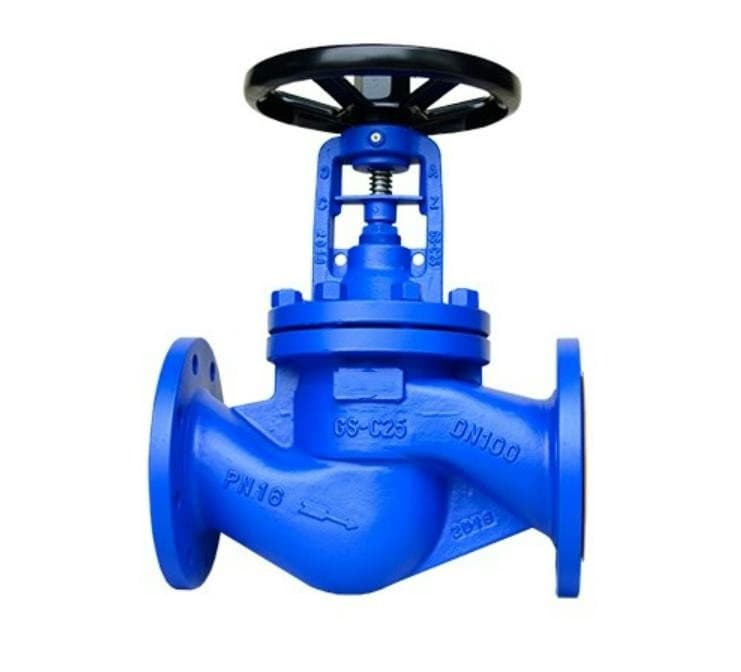 Bellows Sealed Globe Valve