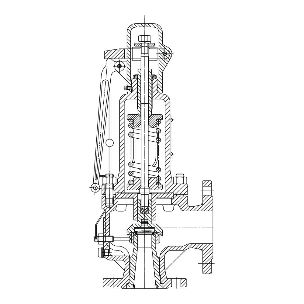 Spring Load Nozzle Type Pressure Relief Safety Valve (2)