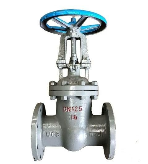 Cast Steel Gate Valve