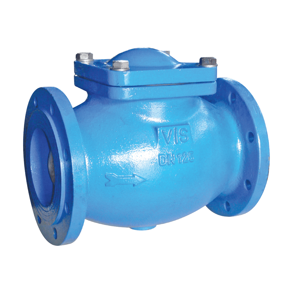 Ball Check Valve (Marine)