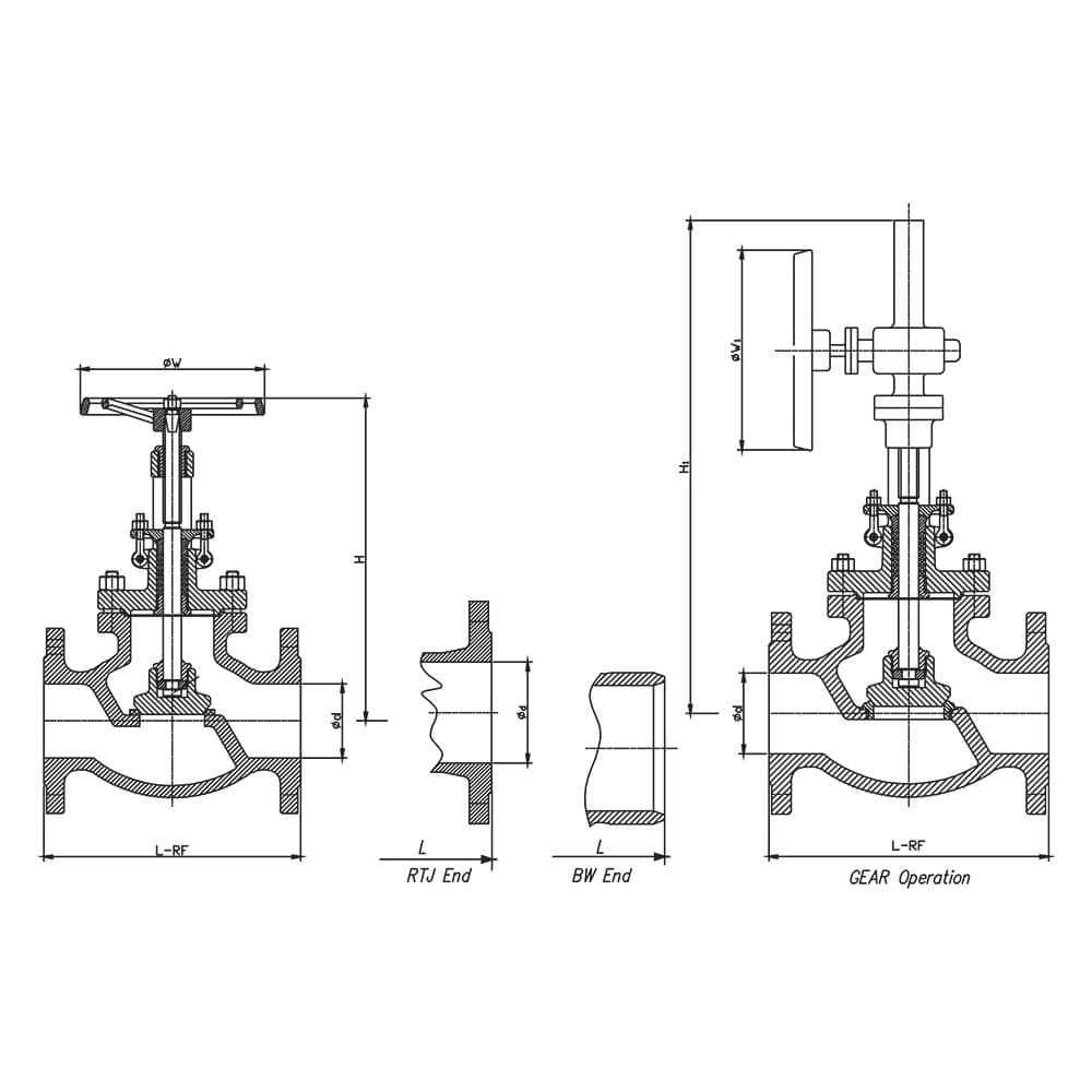 API Globe Valve (2)