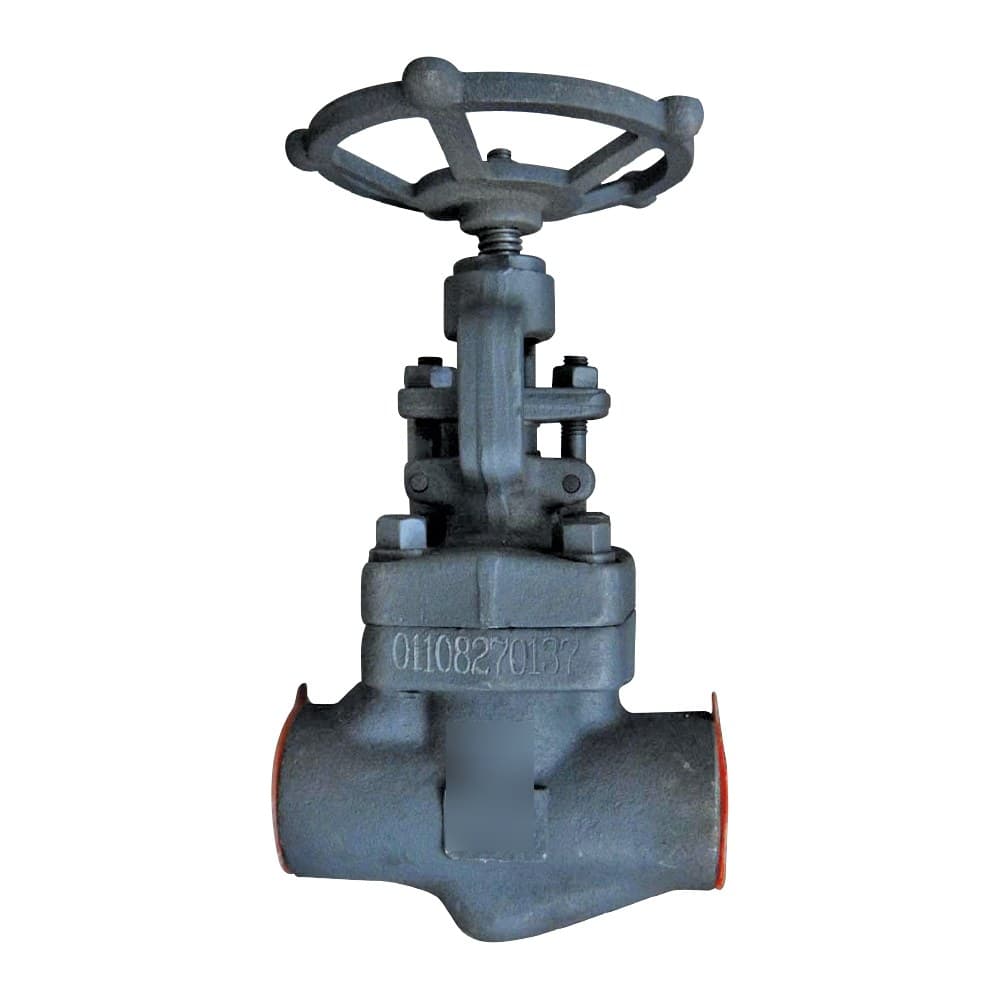 API Globe Valve