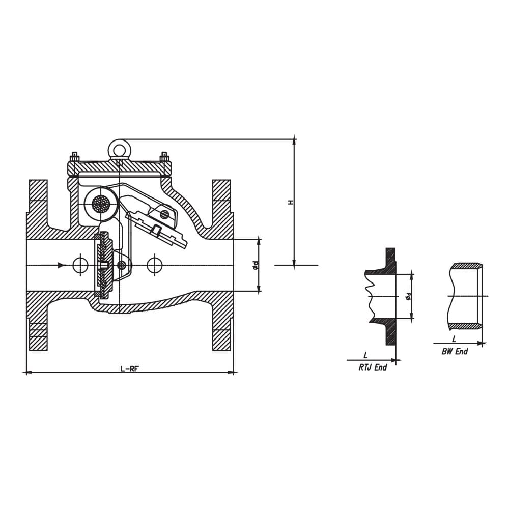 API Swing Check Valve (2)