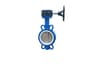 Butterfly Valve