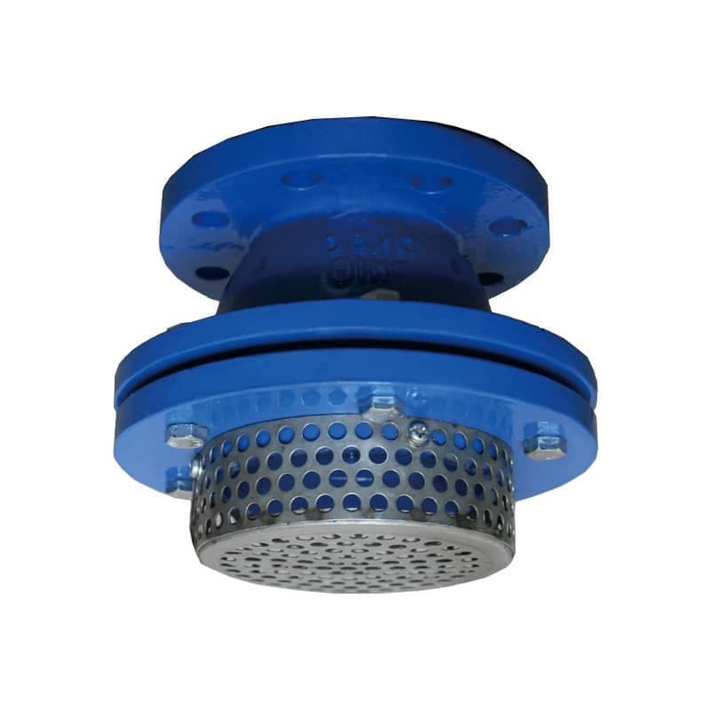 Cast Iron Foot Valve (2)