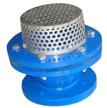 Cast Iron Foot Valve