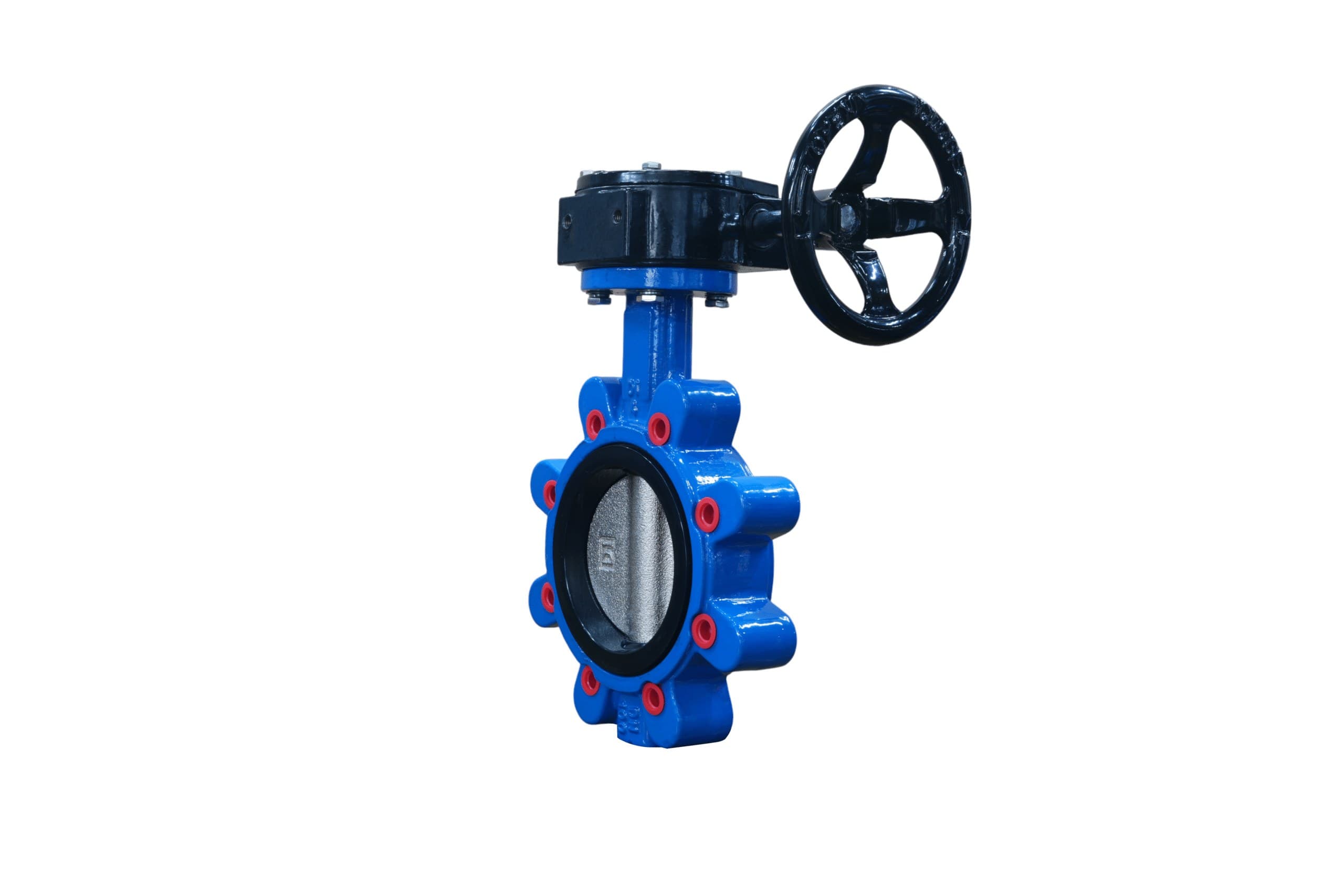Ductile Iron Disc EPDM Seat Lug Butterfly Valve with Gear Operator (4)
