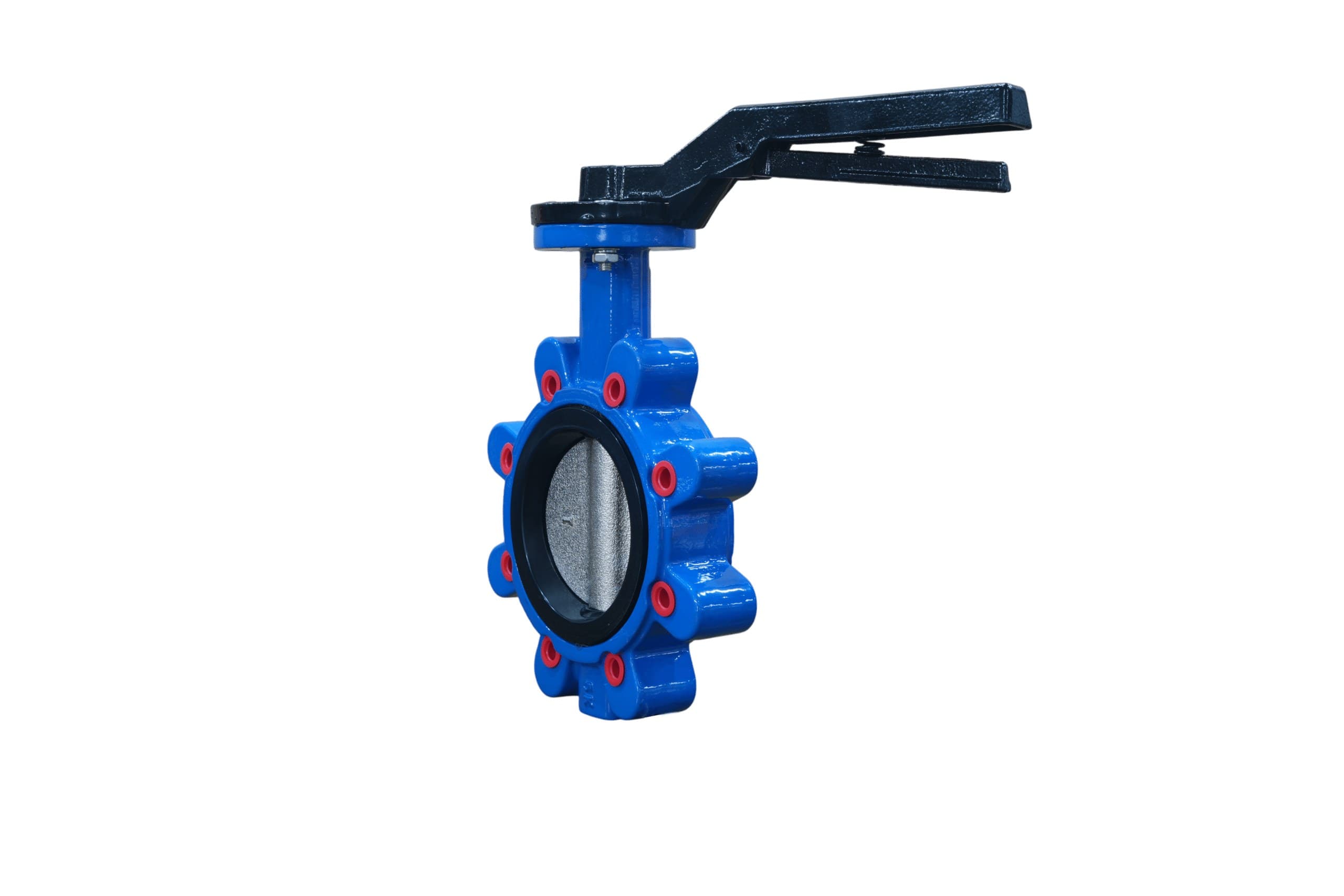 Ductile Iron Disc EPDM Seat Lug Butterfly Valve with Handle (3)