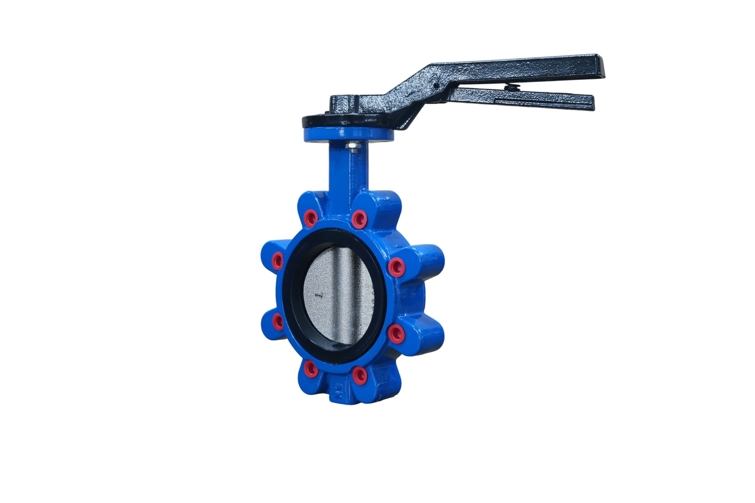 Ductile Iron Disc EPDM Seat Lug Butterfly Valve with Handle (7)