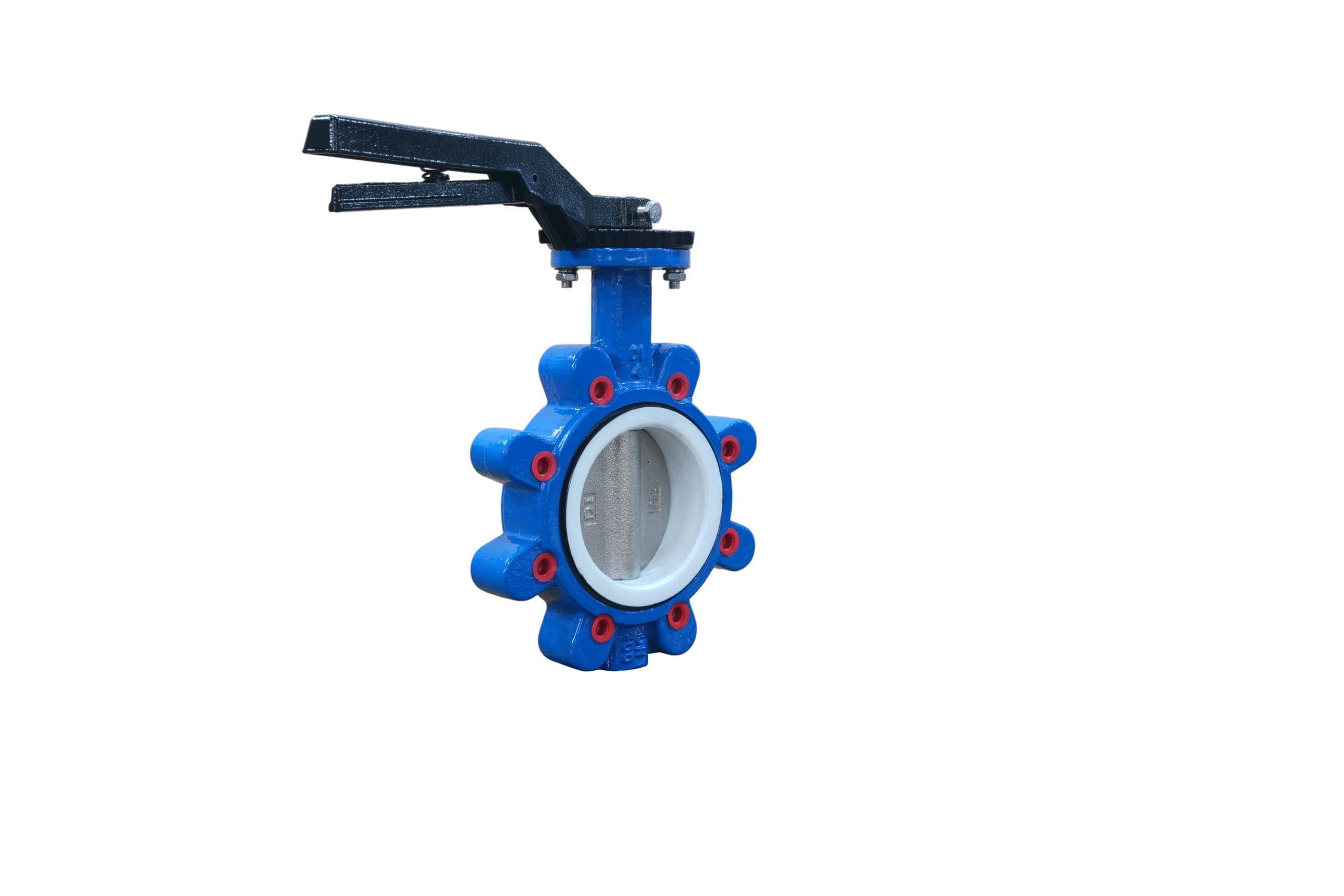 Ductile Iron Disc PTFE Seat Lug Butterfly Valve with Handle (7)