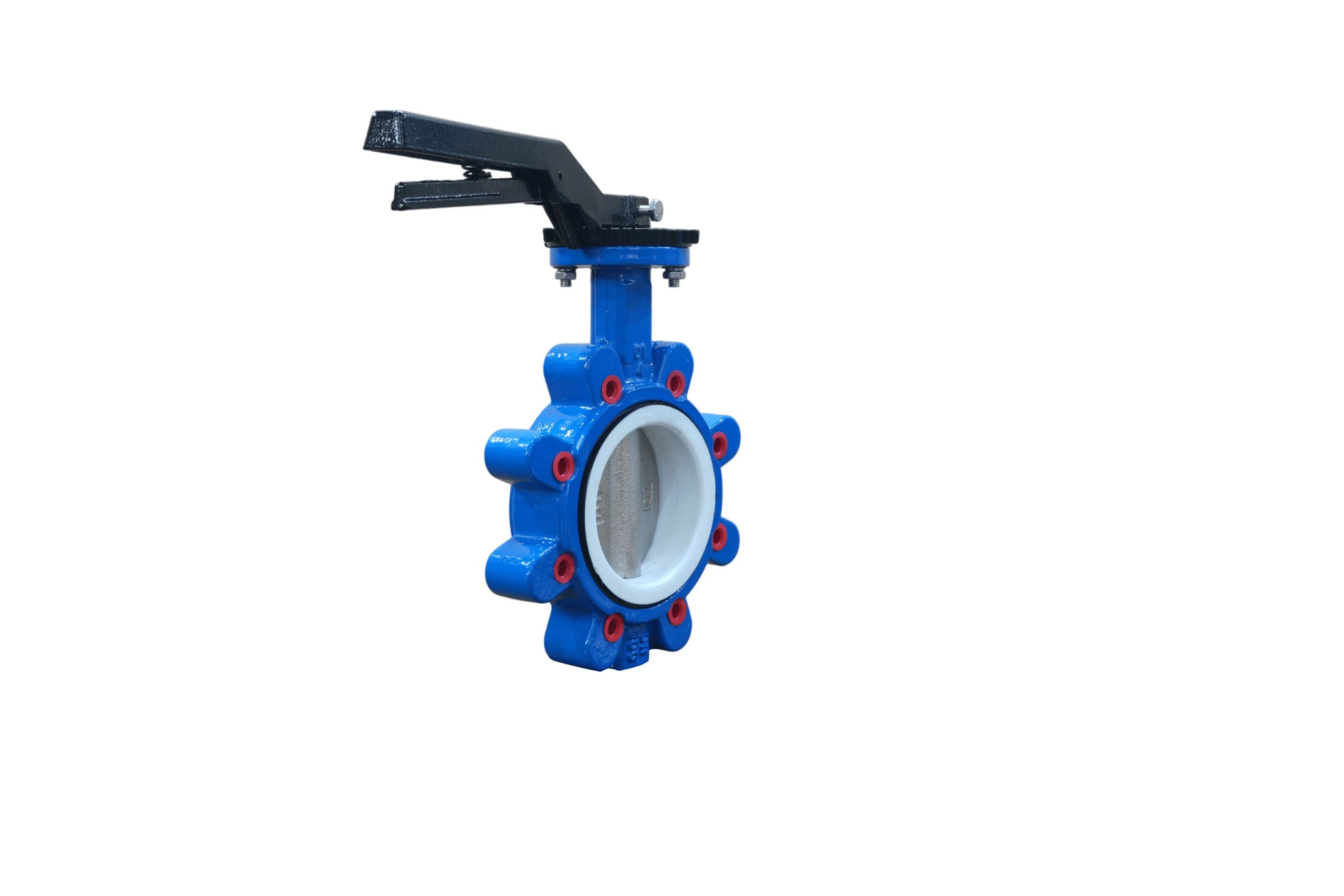 Ductile Iron Disc PTFE Seat Lug Butterfly Valve with Handle (4)