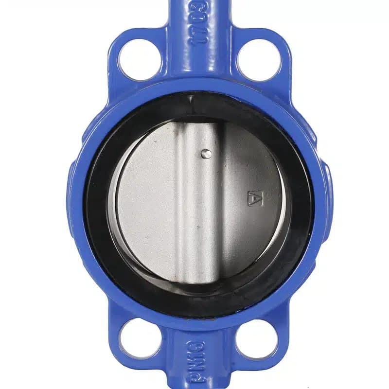 Ductile Iron Wafer Butterfly Valve (3)