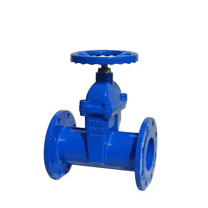 F5 Non-rising Stem Gate Valve (3)