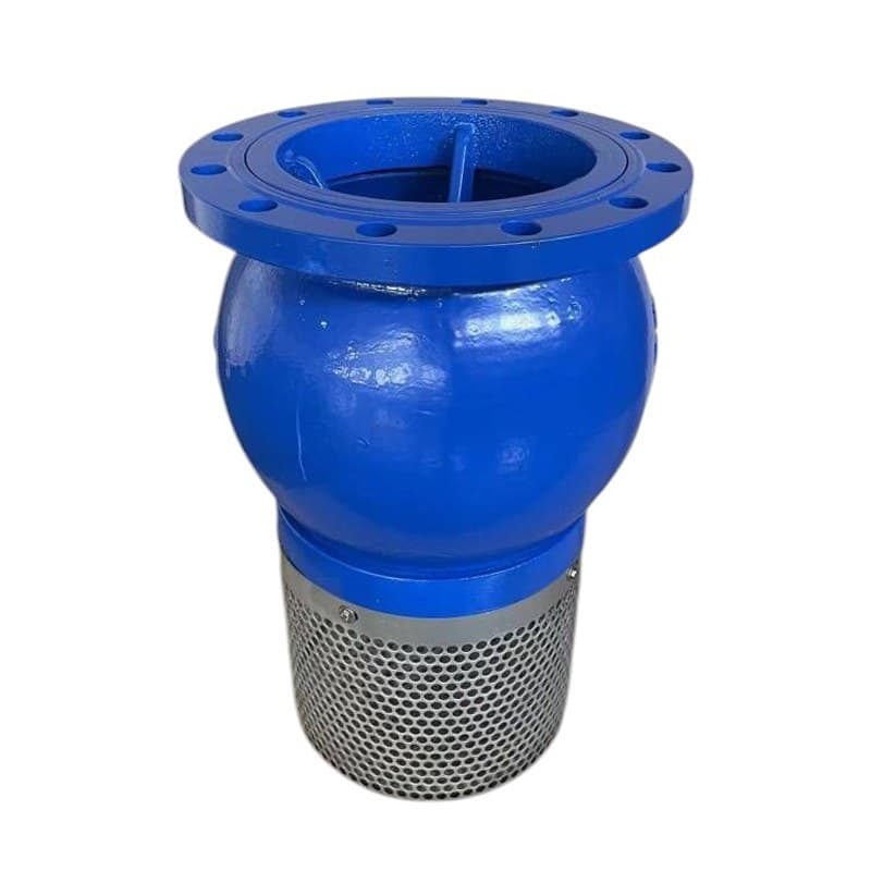 Foot Valve (2)