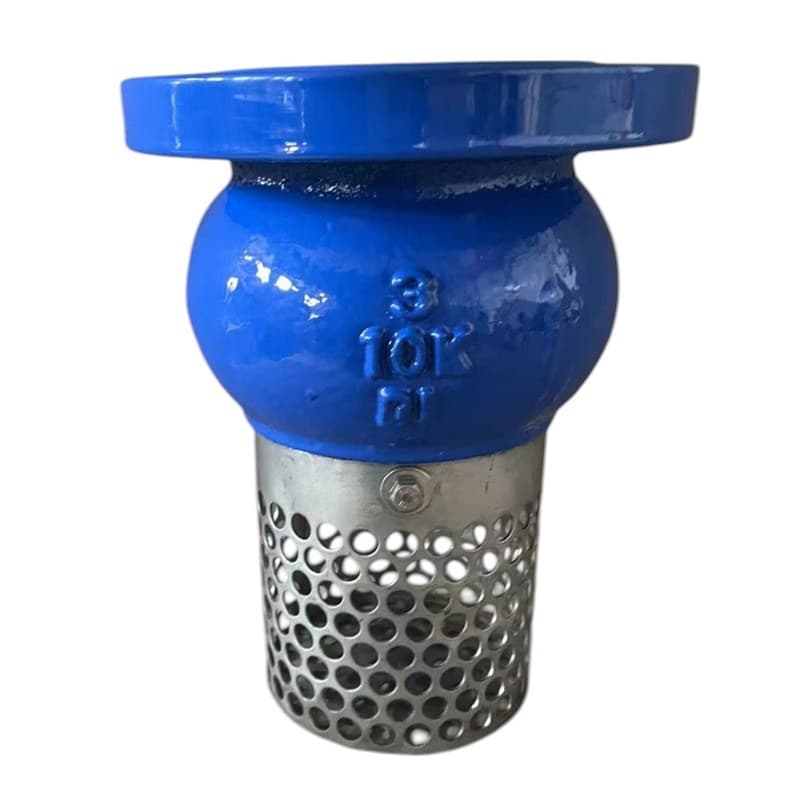 Foot Valve (3)