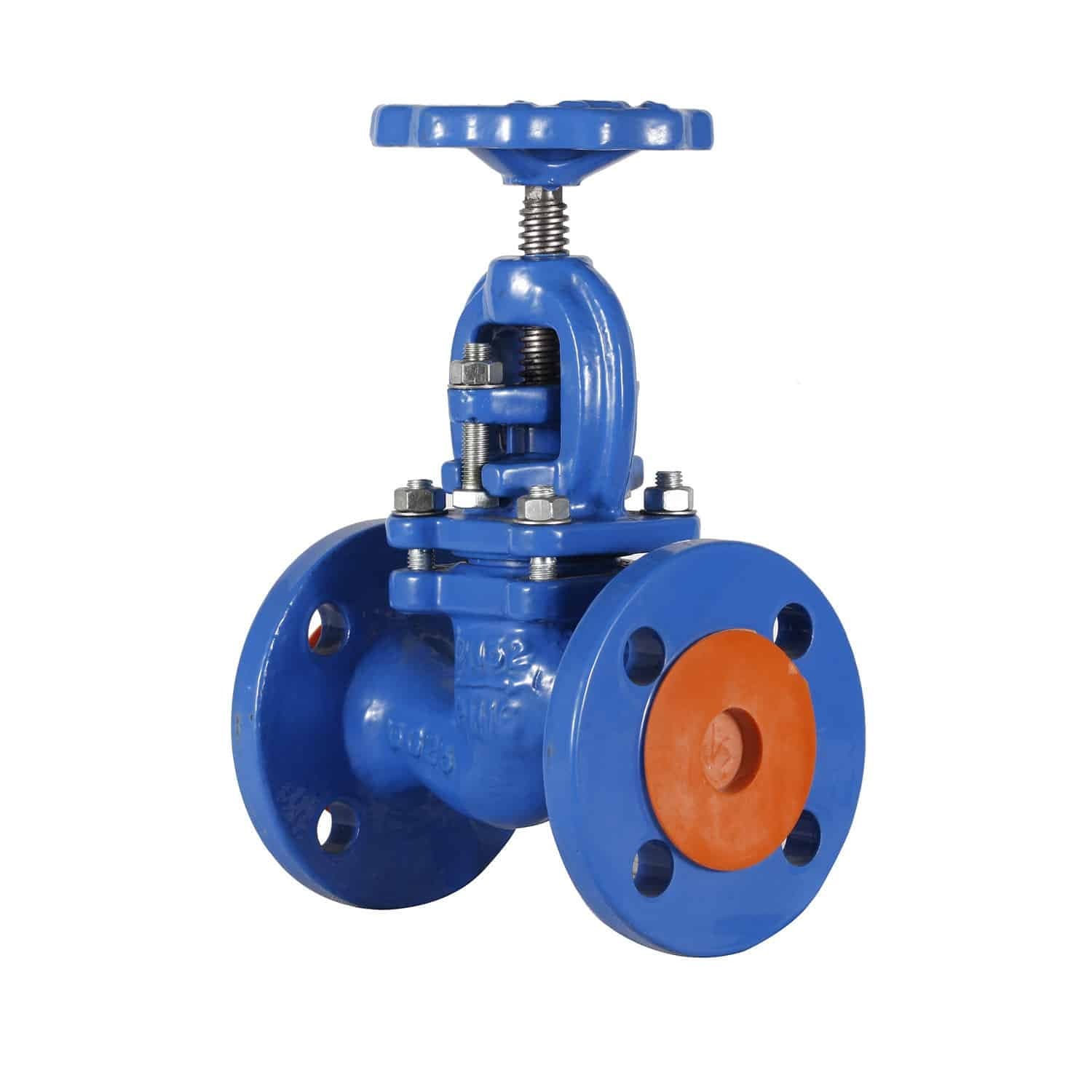 Globe Valve ANSI B16.10 (3)