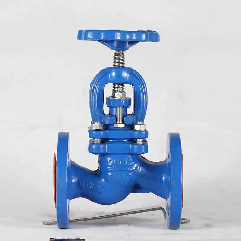 Globe Valve ANSI B16.10 (4)