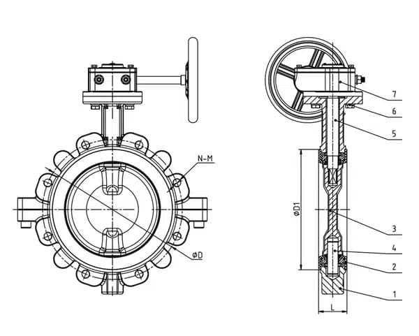 PTFE Full Coated Lug Butterfly Valve (3)