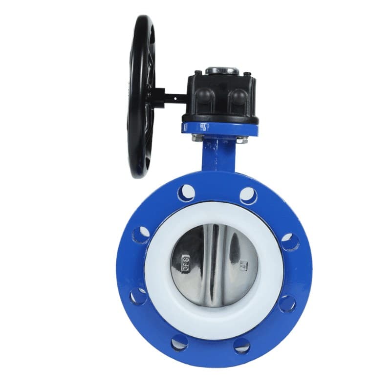 PTFE Seat Flange Butterfly Valve (3)