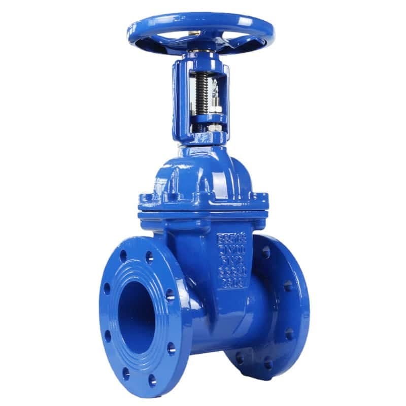 Rising Stem Resilient Seat Gate Valve (2)