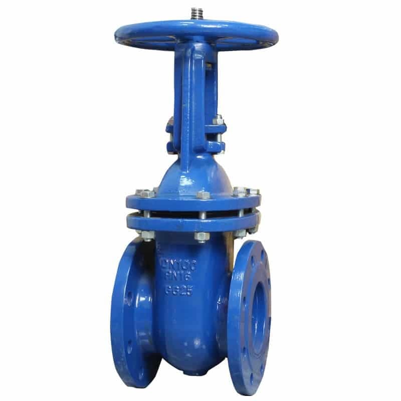 Rising Stem Solid Wedge Gate Valve (2)