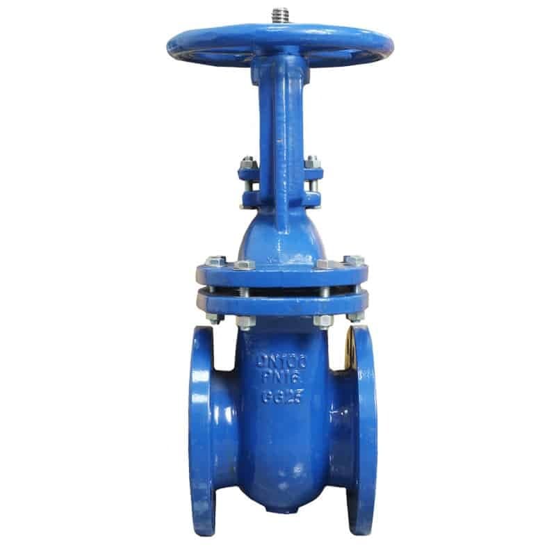 Rising Stem Solid Wedge Gate Valve