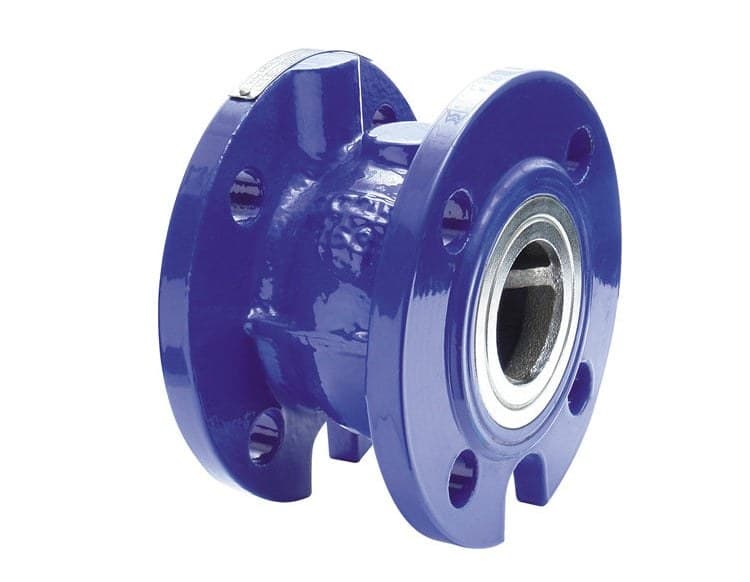 Cast Iron Silent Check Valve (2)