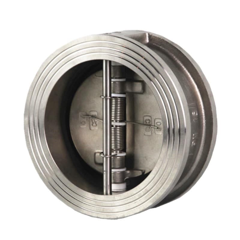 Stainless Steel Dual Plate Check Valve (3)