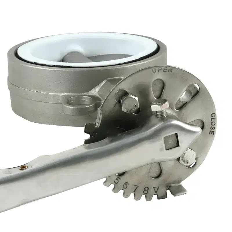 Stainless Steel PTFE Seat Wafer Butterfly Valve (4)