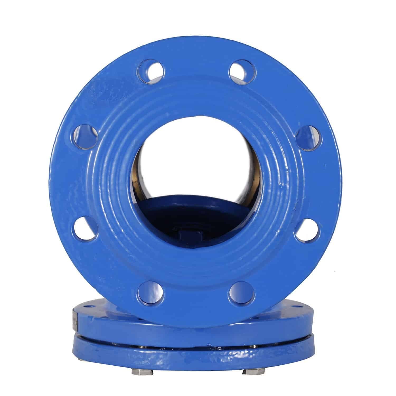 Swing Check Valve (2)