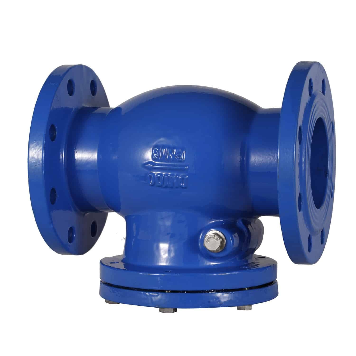 Swing Check Valve (3)