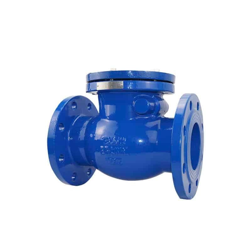 Swing Check Valve (4)