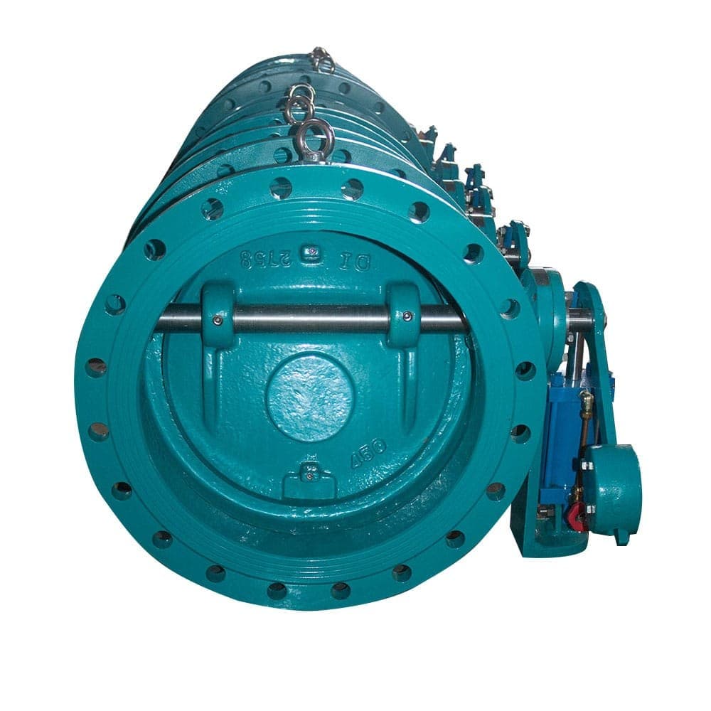 Titling Check Valve (2)