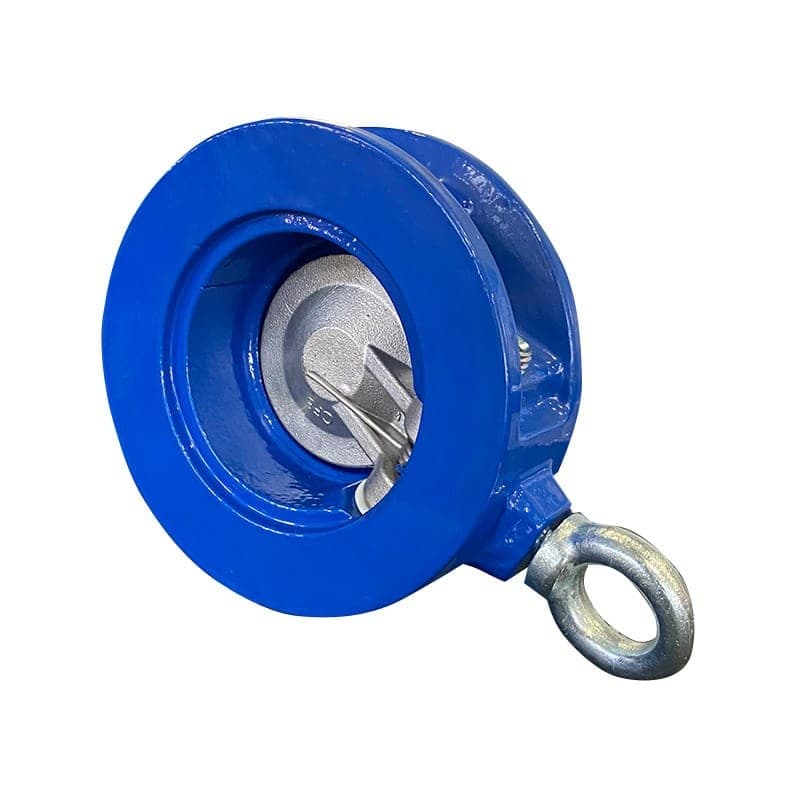 Wafer Type Single Disc Swing Check Valve (2)