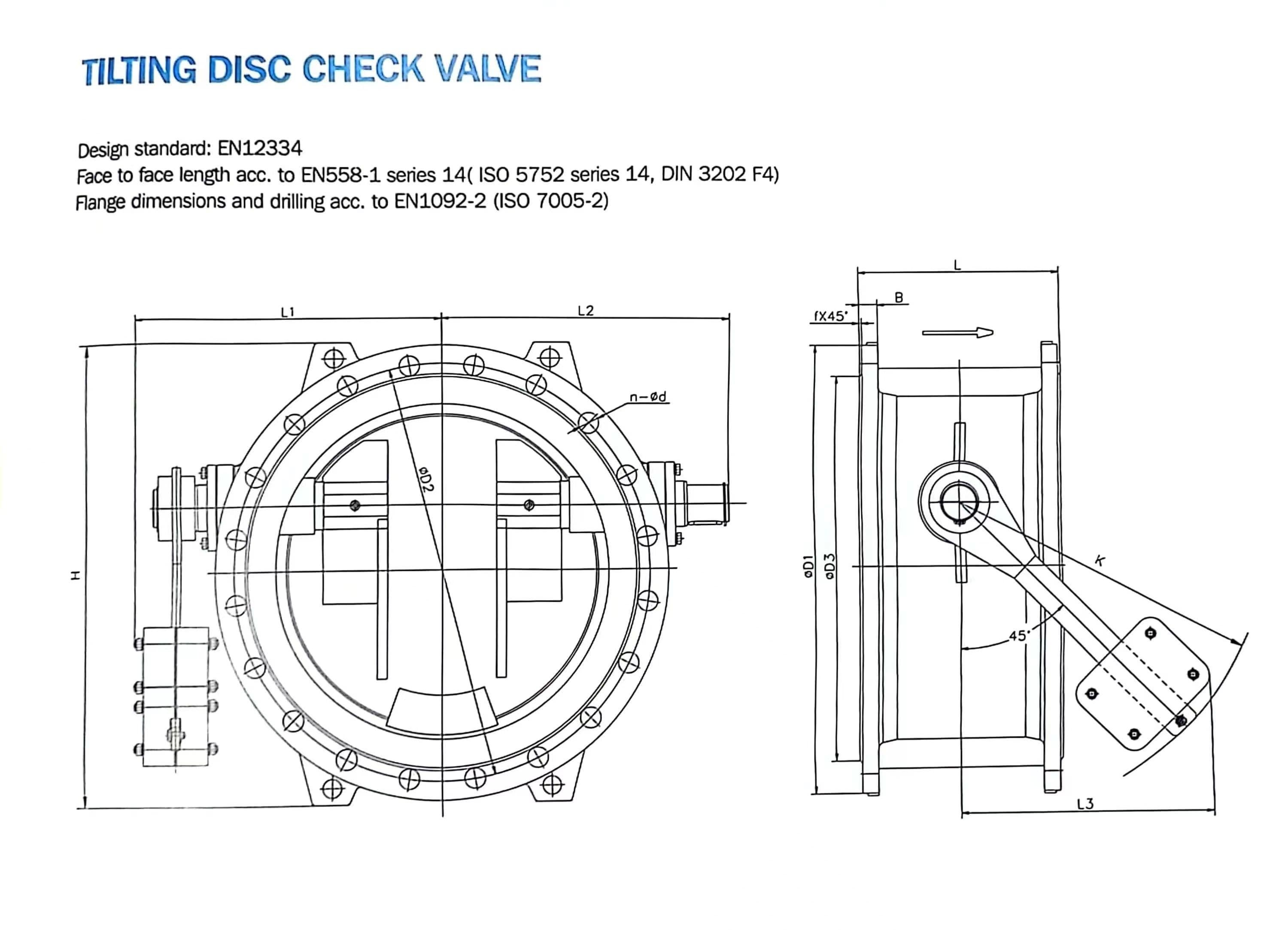 Tilting Disc Check Valve (2)