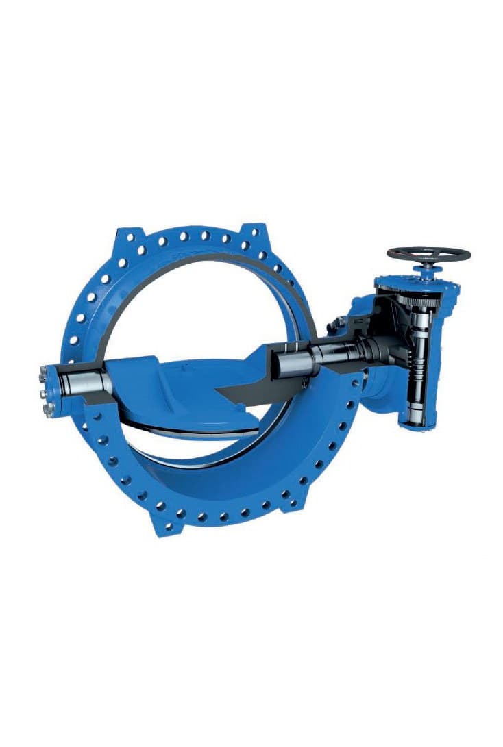 Double Eccentric Butterfly Valve (2)