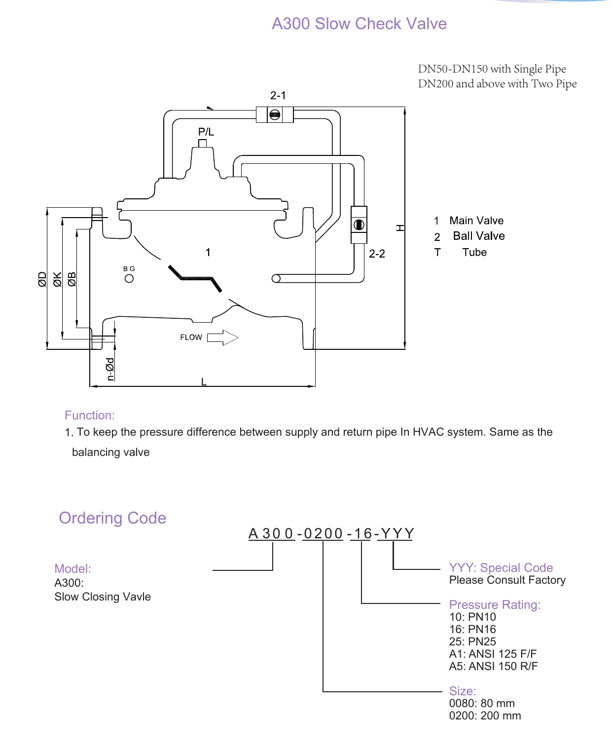 A300 Slow Control Check Valve (4)