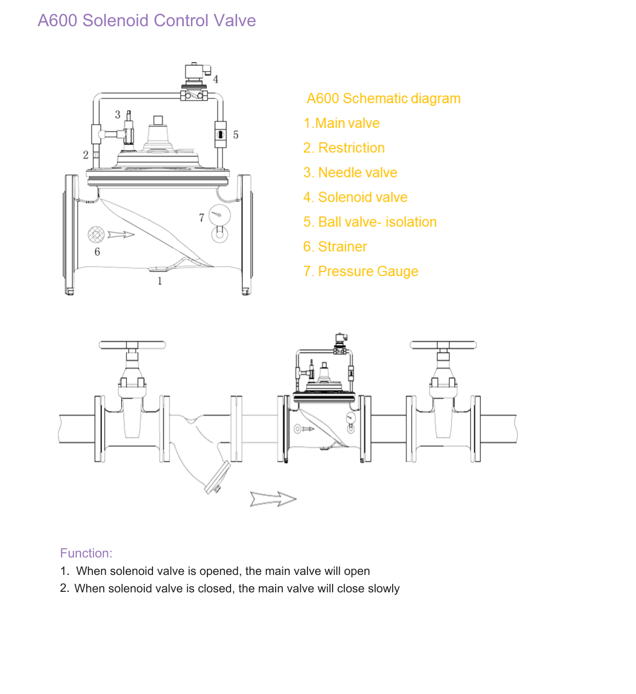 A600 Solenoid Control Valve (4)