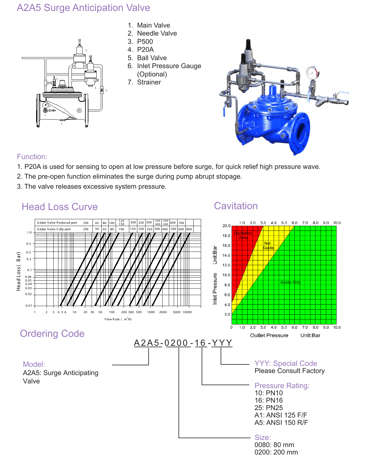 A2A5 Surge Anticipating Control Valve (5)