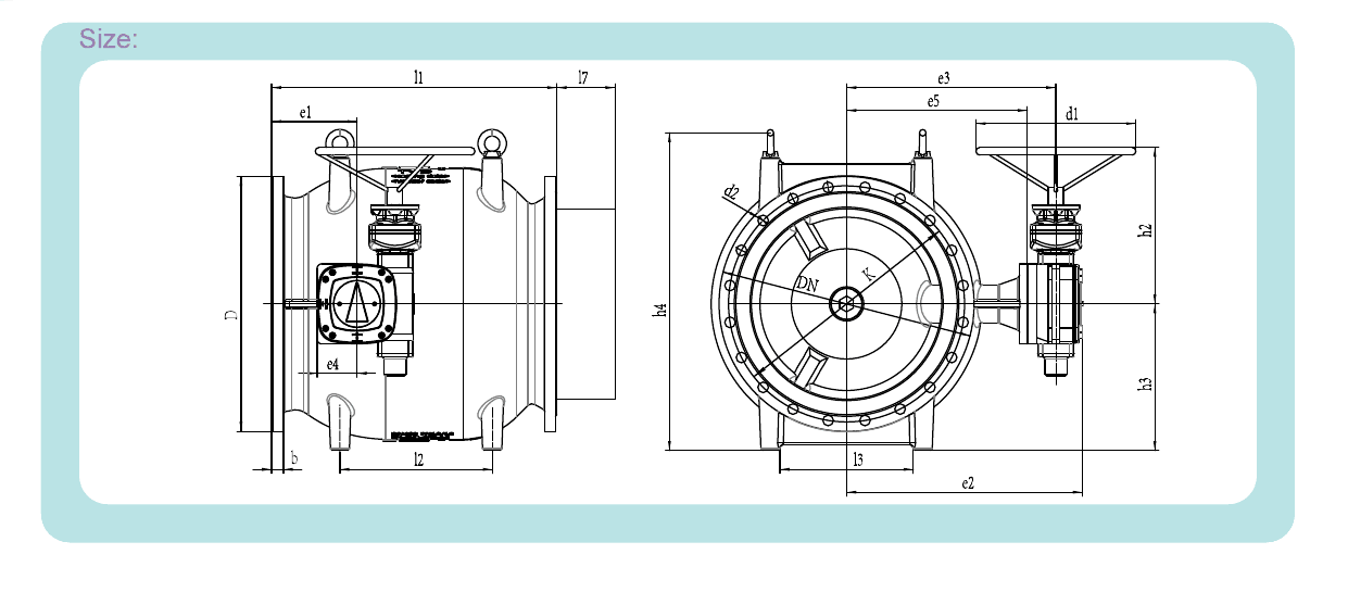 Plunger Valve (2)