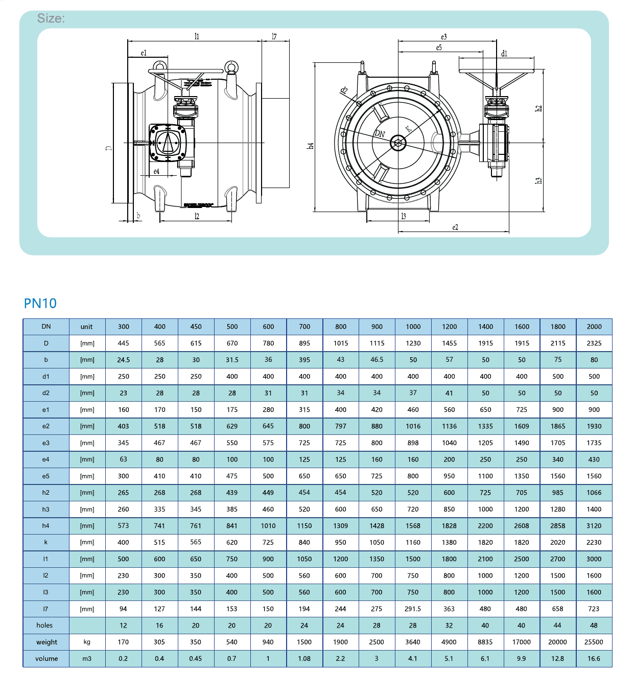 Plunger Valve (2)
