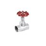 Globe Valve