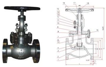 API Globe Valve (2)